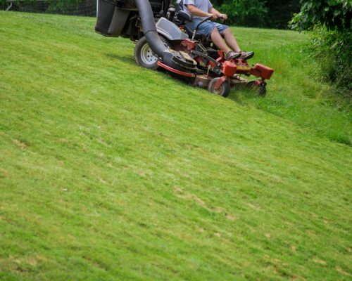 Summer season sunny day lawn mowing in the garden process of lawn mowing Summer season sunny day lawn mowing in the garden process of lawn mowing